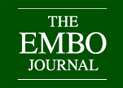 The EMBO Journal