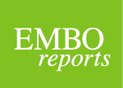 EMBO reports logo