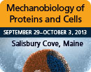 Mechanobiology of proteins and cells conference